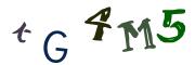 Image CAPTCHA