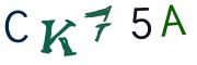 Image CAPTCHA