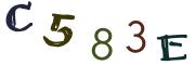 Image CAPTCHA