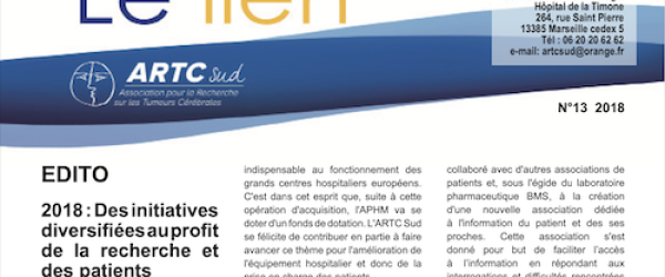 Le Lien 13