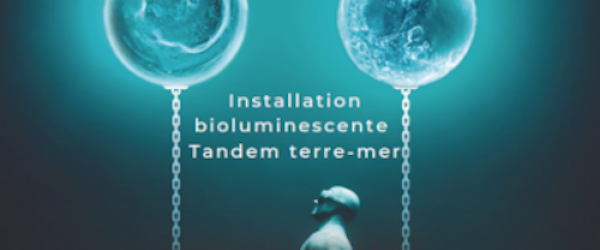Bioluminescence 