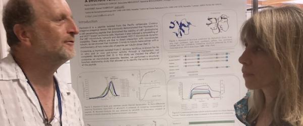 French Microtubule Network Jose Isabelle