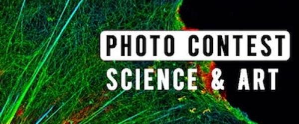 science & art