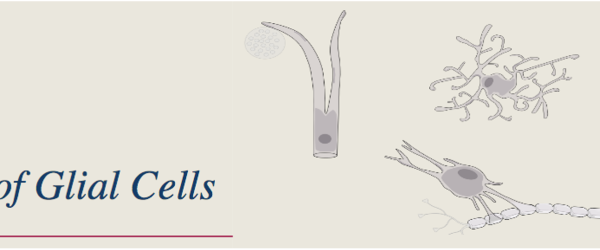 french club glial cells french club glial cells