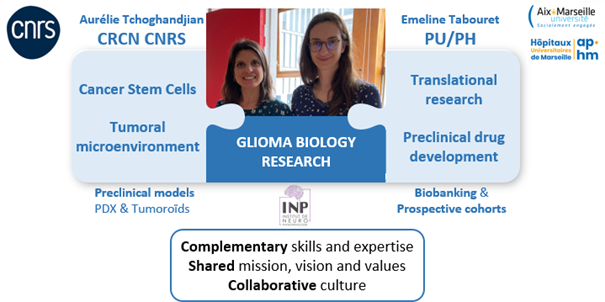 gliome team leaders gliome_team_leaders